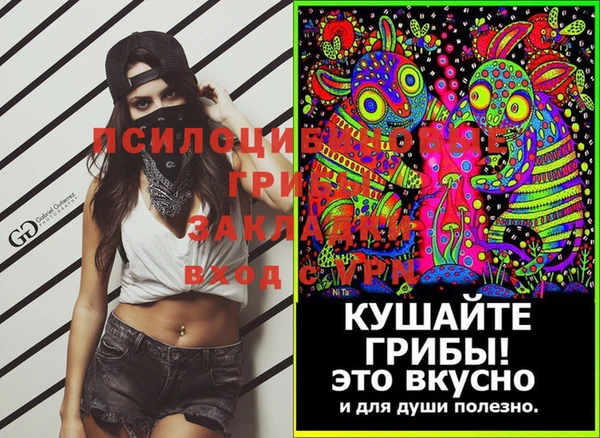 круглые Аркадак