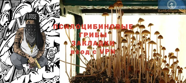 круглые Аркадак